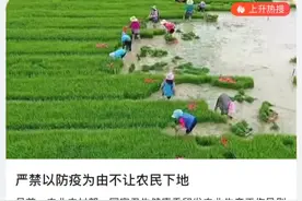 两部门：严禁以防疫为由不让农民下地#防疫 