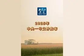 新华社消息｜2025年中央一号文件发布视频封面