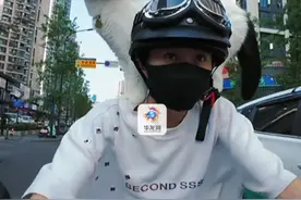 8月14日（采访），四川宜宾。不管上班下班，还是逛街买菜，就连骑车猫咪都要趴在主人肩上，主人：平衡力很好，三个月大就站在肩上了。源：@发财是只社牛猫💩 （华龙网原创采访报道）视频封面