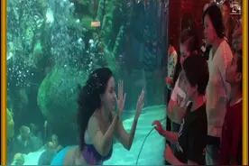 美人鱼是怎么长时间在水里呼吸的 #涨知识