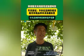 阳光玫瑰使用甜味剂？假的！专家辟谣：阳光玫瑰葡萄本身的品种决定了其口感较甜，这是因为阳光玫瑰葡萄的糖分含量较高，通常在20%左右，至于，用针头注射的传言更是离谱。视频封面