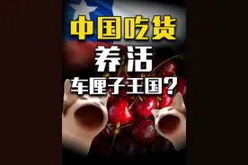 酷爱车厘子的中国吃货，养活了整个智利？ #车厘子 #智利视频封面