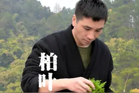 古代人把柏树叶做成了香 #乡村味道 #香文化  #2024抖音非遗大赏  #百young非遗计划  #非遗守护人视频封面