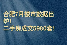 合肥7月楼市数据出炉！二手房成交5980套！ #老百姓关心的话题视频封面