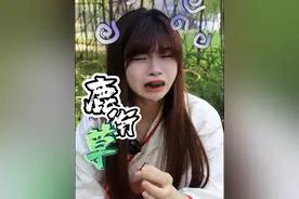 【鹿衔草】这是梅花鹿给我们带来的礼物 #鹿衔草 #鹿蹄草 #植物科普  #大自然在我手中 #一日一植物