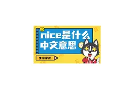nice是什么中文意思#知识科普 #知识分享 #每天学习一点点