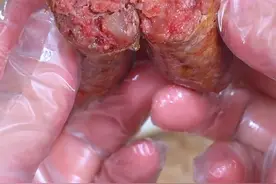 在家自制脆皮烤肠，真材实料，吃着放心，做法也不难，红曲米粉只调色不调味，家里没有可以不放。#自制烤肠