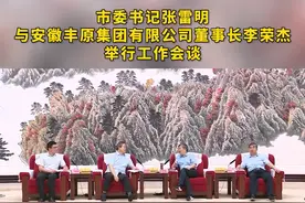 7月15日上午，市委书记张雷明在市委、市政府办公楼与安徽丰原集团有限公司董事长李荣杰举行工作会谈。市领导荆建刚、许红兵参加会谈。视频封面