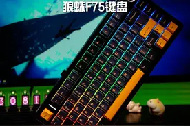 喜欢小配列又实用的机械键盘，那这把狼蛛F75就是个不错的选择