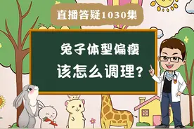 兔子体型偏瘦该怎么调理？#宠物兔视频封面
