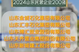 2024山东民营企业百强榜单发布，桓台多加企业上榜（编辑 一一）#民营企业 #桓台 #排行榜视频封面