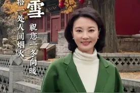 时至小雪，愿您一冬向暖 #芳菲的文明之旅 #小雪  #二十四节气 #中国传统文化 #下雪视频封面