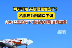 6月5日零时起，机票燃油附加费下调！800公里及以下，直接免收燃油附加费。#机票 #机票怎么买最便宜 （来源：央视新闻）视频封面