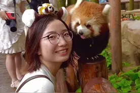 一眼千年，这是缘分呐……#小熊猫视频封面