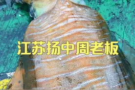 代江苏省扬中市的周老板出海捕鱼，为啥重庆人那么喜欢吃耗儿鱼？ #dou来广东百千万 #内容启发搜索 #渔船捕捞实拍 #乡村英才计划 #新农人计划2025视频封面