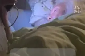 怕影响孙子睡觉 #62岁奶奶摸黑刷手机险失明  医生：急性闭角型青光眼。视频封面