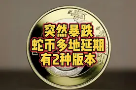 突然暴跌！蛇币多地延期，有2种版本 蛇币暴跌，有2种版本！视频封面