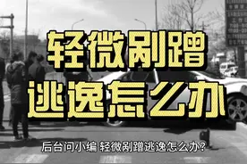 轻微剐蹭逃逸如何处理？ #热点 #交通事故 #交通法规