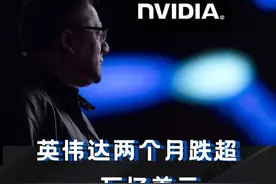 两年多上涨超800%，如今万亿美元级大跌，英伟达究竟为何？#英伟达的芯片神话还能持续多久 #AI视界视频封面
