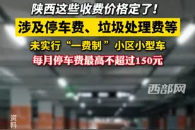 陕西这些收费价格定了！涉及停车费、垃圾处理费等，未实行“一费制 ”小区小型车每月停车费最高不超过150元#陕西 #停车费