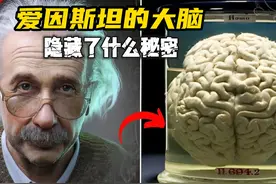 被人偷走切成了240块，爱因斯坦的大脑隐藏了什么秘密？视频封面