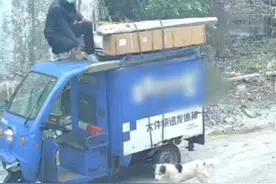 3月7日广东湛江，快递小哥送快递遇到小狗，吓得爬车顶上不敢下来视频封面
