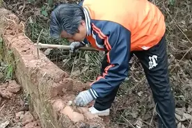 做梦清扫老房子没想到看见宝贝 #老房 子 #寻宝  #我的乡村生活  #户外寻宝  #回村的生活视频封面