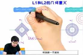L1和L2的几何意义#机器学习教程 #人工智能编程 #人工智能算法视频封面