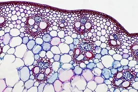 高中生物教学动画：走近细胞#生命科学 #高中生物 #细胞视频封面
