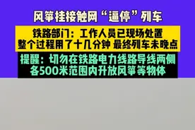 3月23日（发布）河北，风筝挂接触网“逼停”列车，铁路部门：工作人员已现场处置，整个过程用了十几分钟，最终列车未晚点，提醒：切勿在铁路电力线路导线两侧
，各500米范围内升放风筝等物体（素材来源：@旺旺De小小～～酥 ）#高铁 #安全 #风筝视频封面