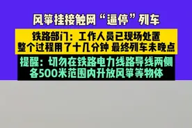 3月23日（发布）河北，风筝挂接触网“逼停”列车，铁路部门：工作人员已现场处置，整个过程用了十几分钟，最终列车未晚点，提醒：切勿在铁路电力线路导线两侧
，各500米范围内升放风筝等物体（素材来源：@旺旺De小小～～酥 ）#高铁 #安全 #风筝视频封面