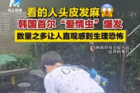 看的人头皮发麻！韩国首尔陷入“爱情虫”爆发期，数量之多让人直观感到生理恐怖#虫子 #头皮发麻 #韩国 #画面容易引发不适谨慎观看 （来源：封面新闻 编辑：曹超 校对：方金友 审核：申敬 审签：陈敏娟）
