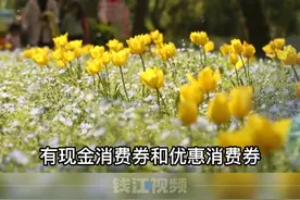 1400万元浙江旅游现金消费券，开启春季旅游狂欢 #消费券 #浙江dou知道 视频封面