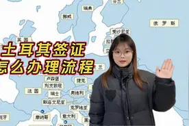 土耳其签证怎么办理流程 签证代办攻略
打开支付宝首页，搜索视频封面
