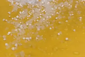 外省人不许笑！这就是昆明的雪！#昆明下雪了 #寒潮来袭 #天气预报视频封面