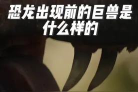 恐龙出现前的陆地霸主有多凶猛？ #古生物 #丽齿兽视频封面