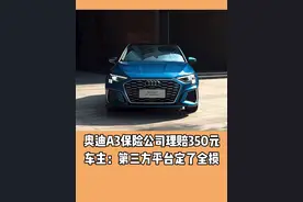 奥迪A3保险公司理赔350元 车主：第三方平台定了全损#奥迪a3#保险#汽车知识#汽车人共创计划视频封面
