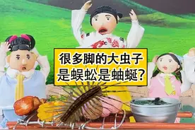 野炊遇到很多脚的大虫子，是蚰蜒？是蜈蚣？ #钱串子蚰蜒视频封面