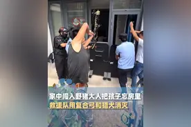 家中闯入野猪大人逃跑把孩子忘房里，救援队使用复合弓和猎犬消灭野猪，“最后进行了无害化处理”