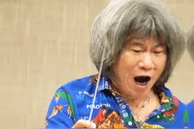 #梨园飞歌走进奥地利  著名指挥家彭家鹏超燃排练现场！网友：每根头发丝都握着指挥棒～1月8日，《梨园春》走进奥地利维也纳金色大厅，“梨园飞歌”再续华章！#豫剧从黄河唱到多瑙河  #2025河南卫视春晚季官宣视频封面
