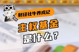 全球最大的主权基金是怎么投资的？#主权基金 #科普 #财经 #知识 #掘金计划2024视频封面