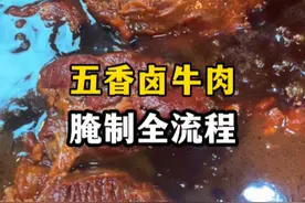 五香卤牛肉腌制全流程 酱卤牛肉想要好吃，腌制很重要，怎么才能入味嚼的动，今天老刘就把腌制的流程分享给你。#卤味熟食 #牛肉 #卤肉 #实体店教学所有技术包教包会 #小本创业好项目视频封面