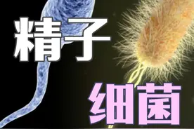 精子与细菌，竟如此相像？ #知识科普 #生物 #精子 #知识前沿派对视频封面