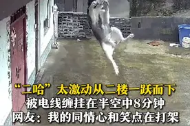 6月23日（采访），广东，“#二哈 ”太激动从二楼一跃而下，被电线缠挂在半空中8分钟。小主人看到后用双手将它托举起来，直到“二哈”被救。网友：我的同情心和笑点在打架。（来源@庹富贵不上吊 ）