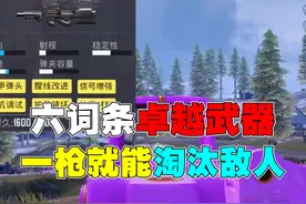 地铁最新的六词条卓越武器 #2024pel秋季赛 #和平精英战场进化视频封面