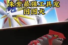 朱紫最强的工具宠图图犬的养成攻略 #宝可梦 #口袋妖怪