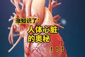 人体的“发动机”——心脏#知识科普 #科普