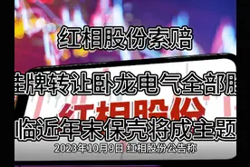红相股份索赔：拟挂牌转让卧龙电气全部股权视频封面
