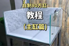 预算400元，自制一套80方缸，制作教程分享（主缸篇） #自制鱼缸视频封面