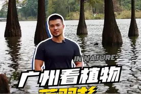 今年火爆的落羽杉，你见过吗？ @摄影师马锐 #自然里植物学社 #守护荒野 #科普 #dou爱送温暖视频封面